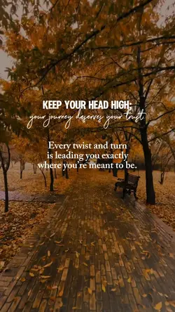 keep your head high