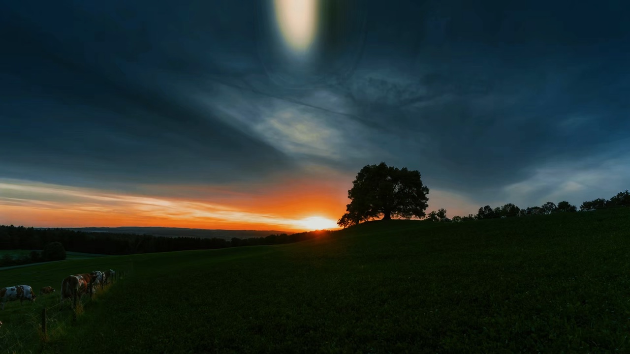 Paisagem Estética