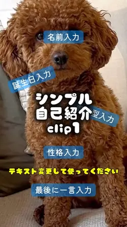 シンプル自己紹介