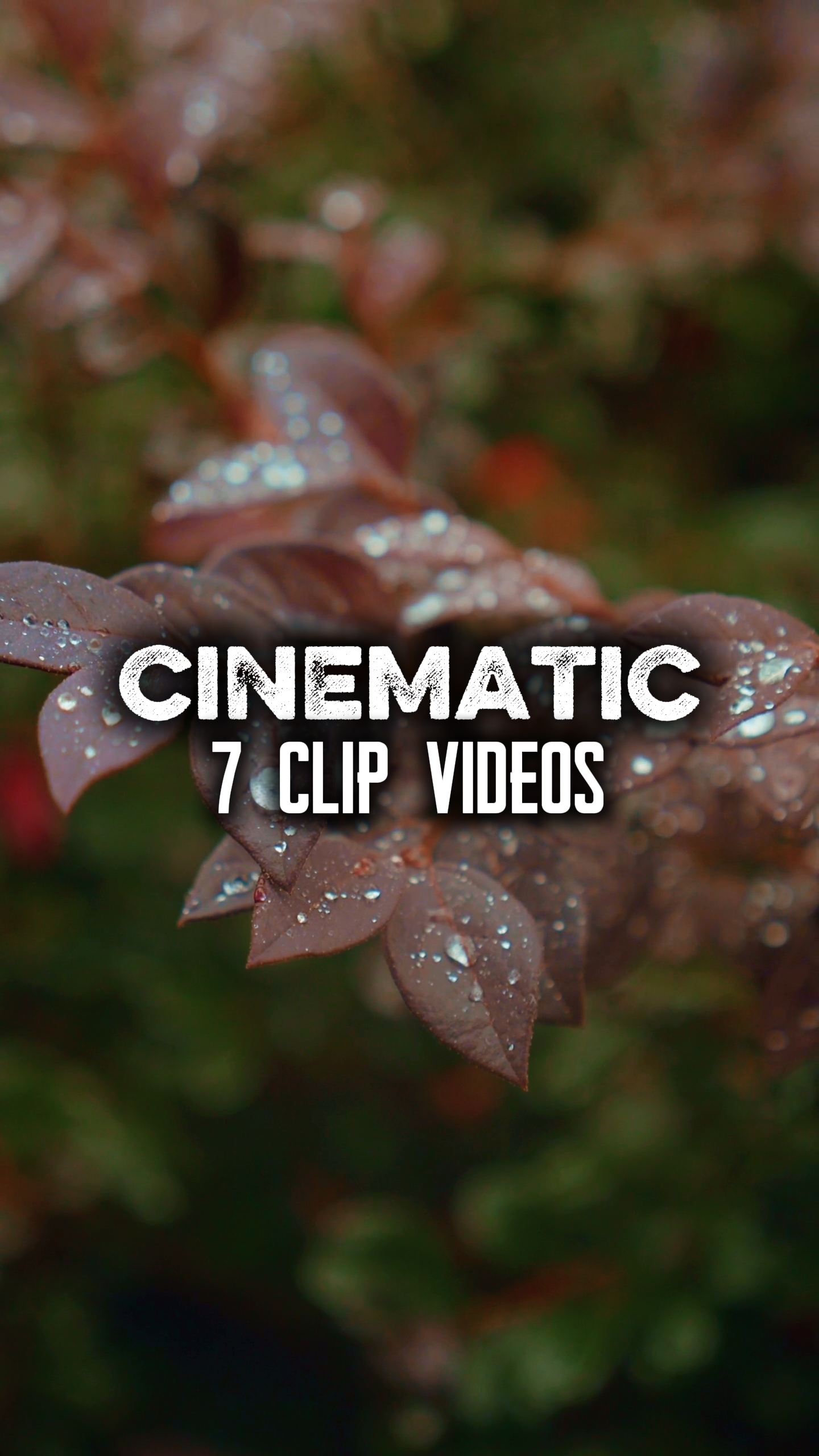 7 clips vidéos