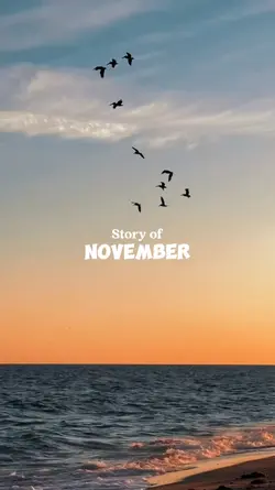 november dump 