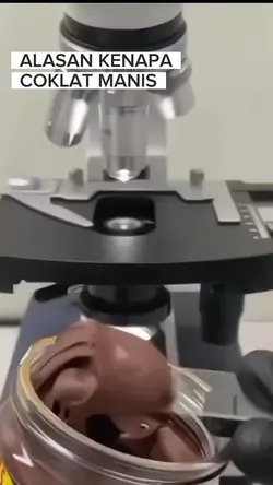 Kenapa coklat manis?