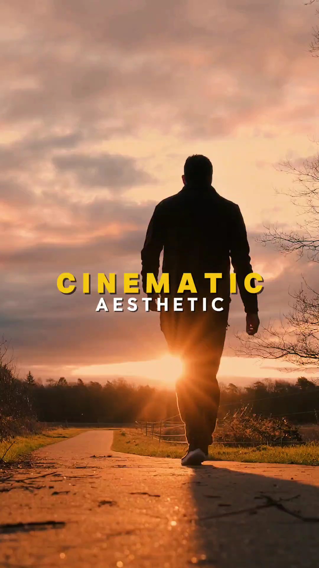 Cinematic Aesthetic