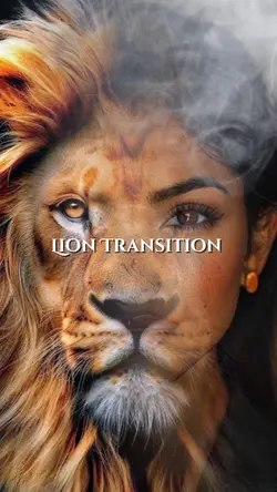 Lion Transition 