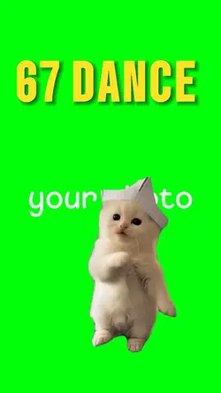 67 DANCE KITTENS