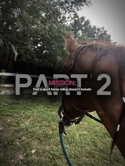 ⚠️FAKE!⚠️pt2