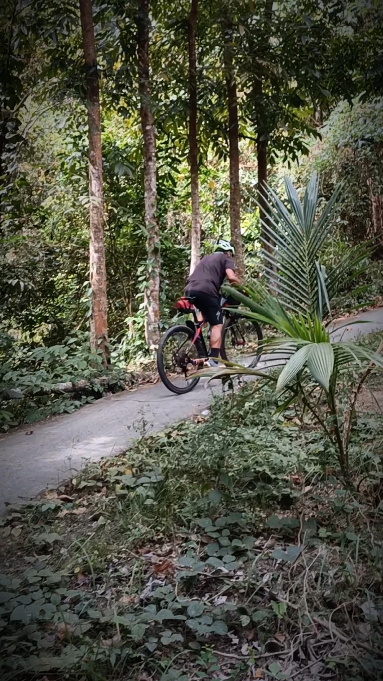 BUHAY NG BIKE