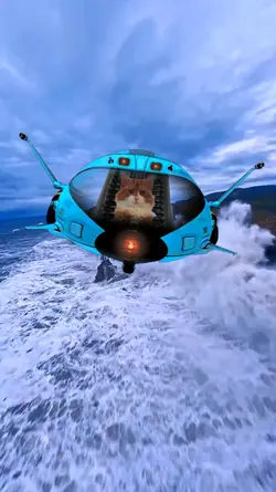 Spaceship 