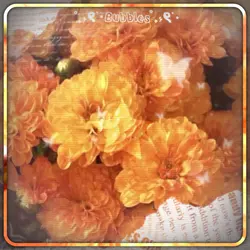 Love is orange!! 🧡