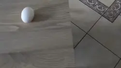 Egg drop meme