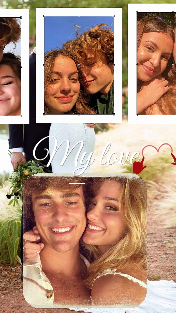 Cover Picture