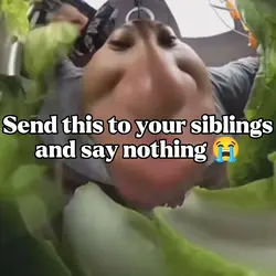 Sibling love |