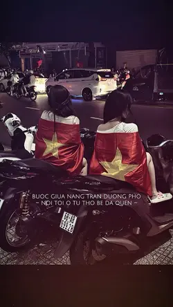 VIỆT NAM ƠI