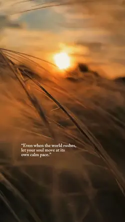 Own Calm Pace