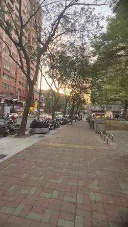 《冬眠說唱版》✖️1.3 live實況