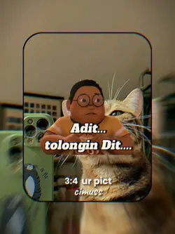 JJ TREND Dentol 3:4
