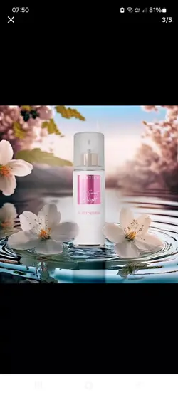 bodysplash
