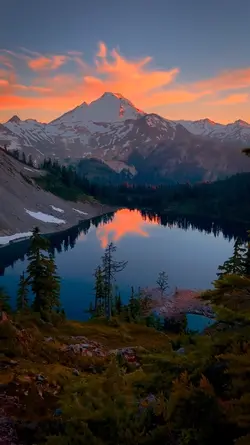 Nature Vibe 