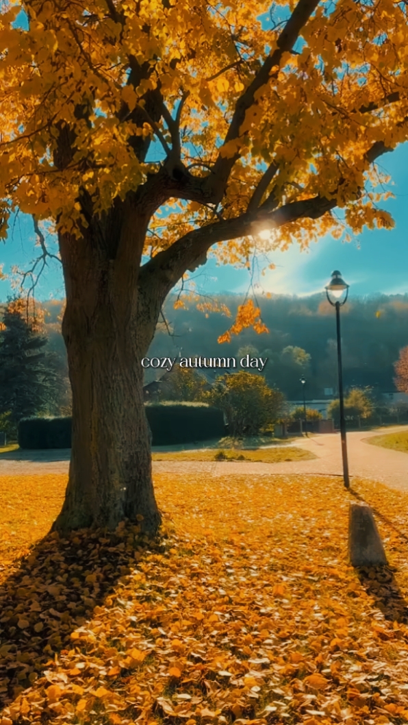 cozy autumn day 