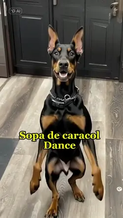Sopa de caracol