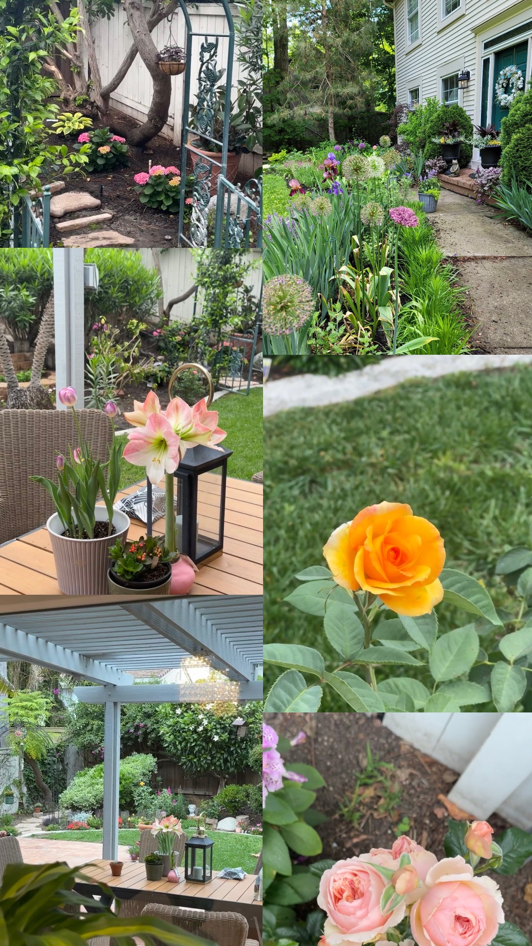 Jardinagem