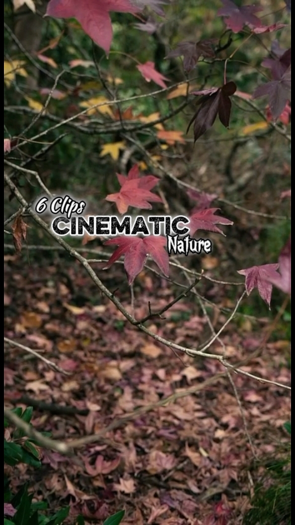 Cinematic 6 Clips 