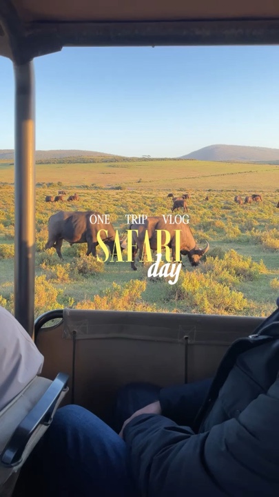 Safari day