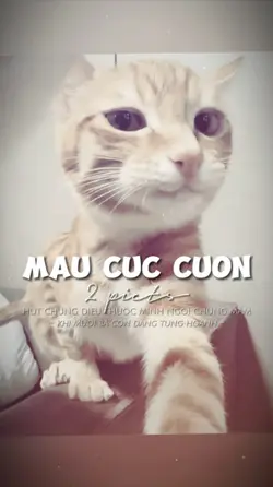 2 ẢNH GIẬT GIẬT CHÁY