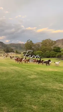 farm life