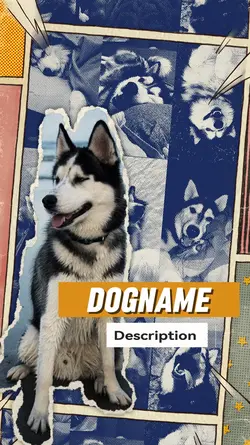 intro your pet