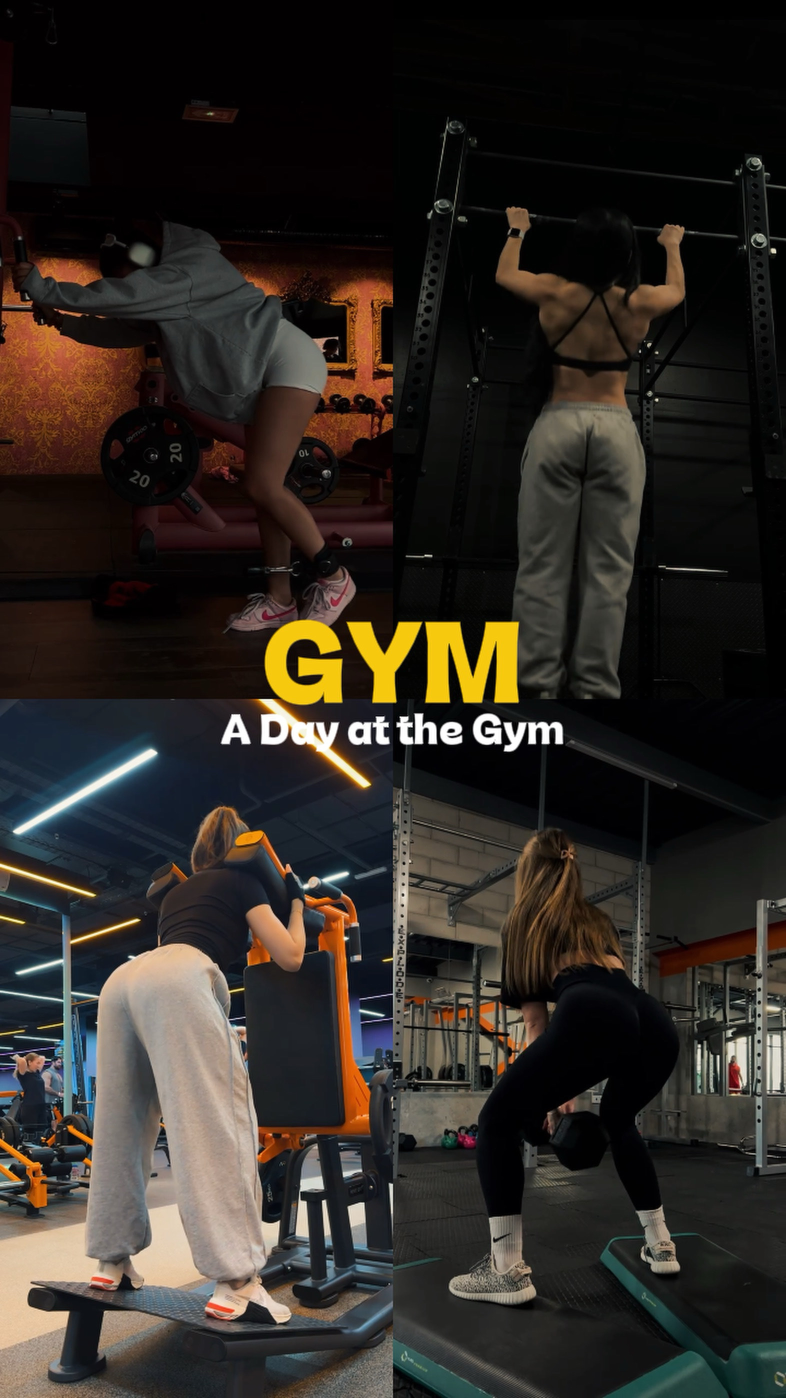 Gimnasio Fitness