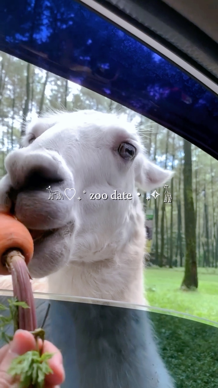 Zoodatum