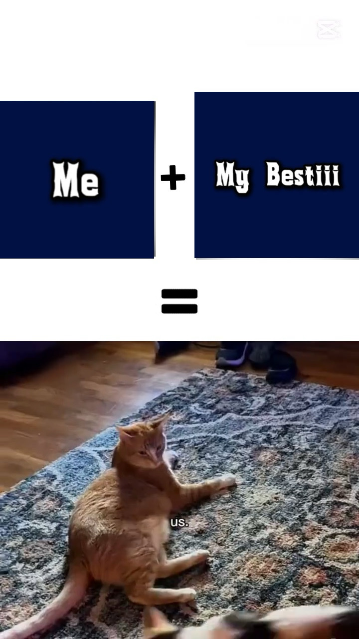 Profesyonel şablon