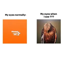 My Eyes when I See?