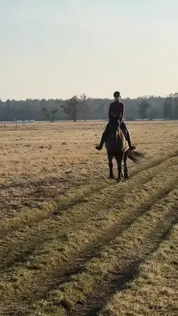 smooth slowmo