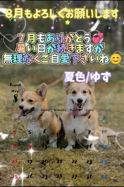 ７月もありがとうございました！