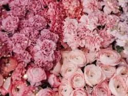 Aaj ki raat✨Tamannah