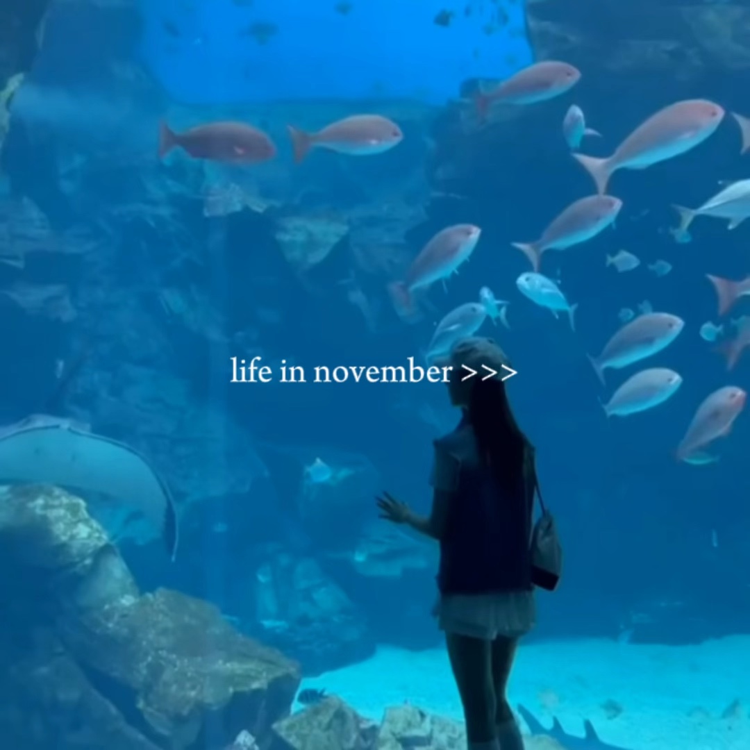 life in november 