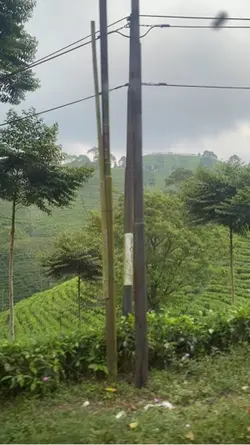 arah belakang