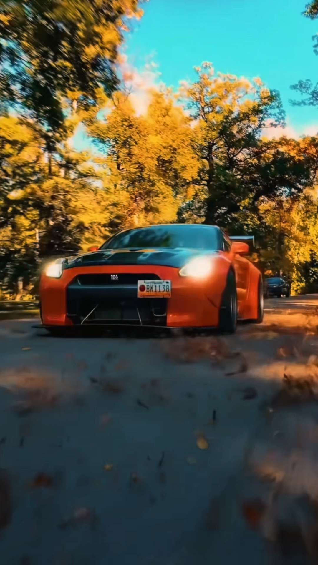 Cover Picture