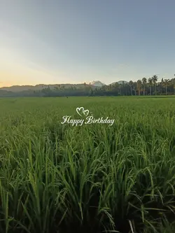 Happy Birthday✨