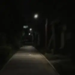BONES