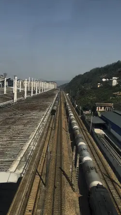 ฮาบอกคิงแล้ว