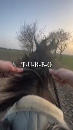 T-U-R-B-O