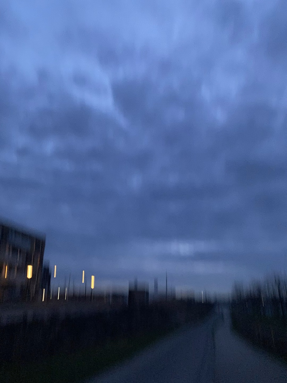 Admiring from afar.💖