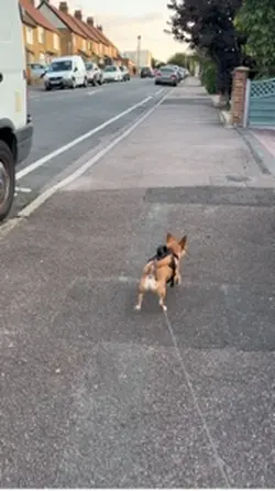 Milo