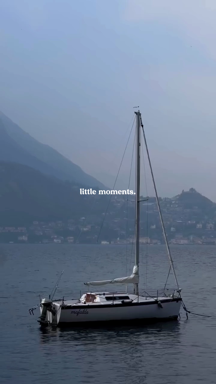 little moments🐬