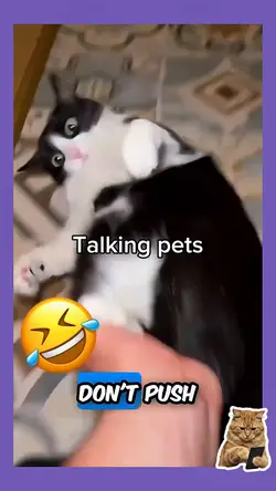 Talking pets 9
