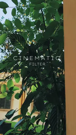 Cinematic Filter 
