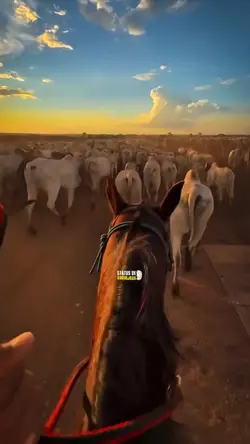 Peão de vaquejada🐎